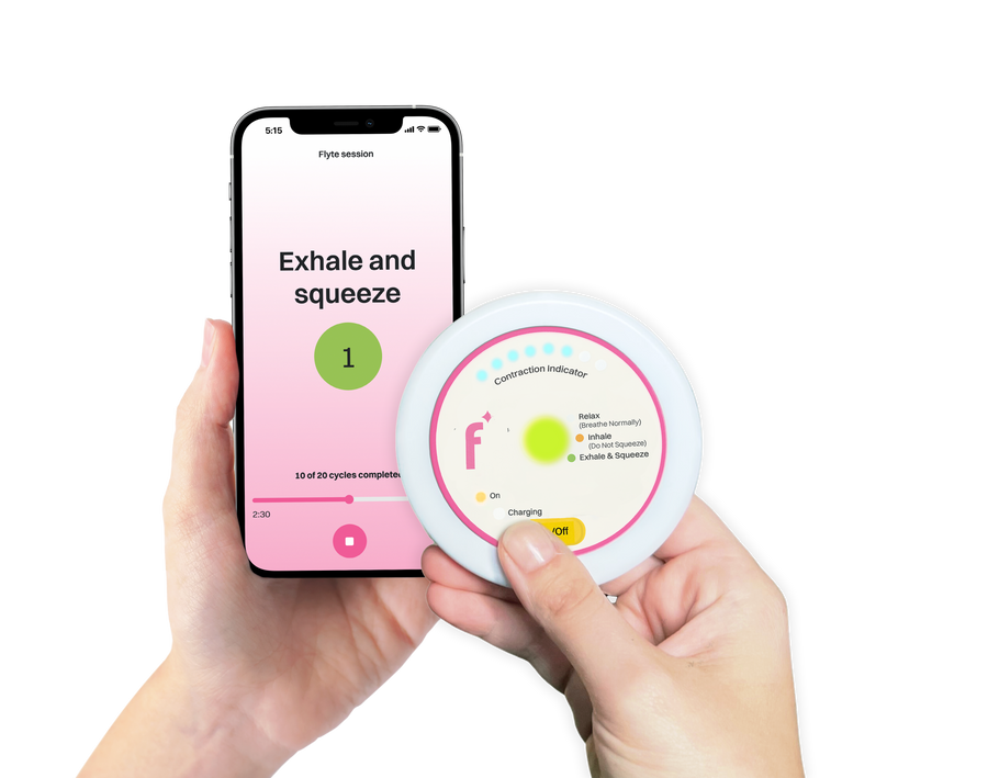 Flyte System